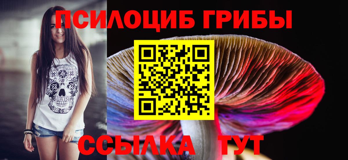 Псилоцибиновые грибы GOLDEN TEACHER  Галлюциногенные грибы прущие грибы  хочу   Минусинск  Вход с VPN 